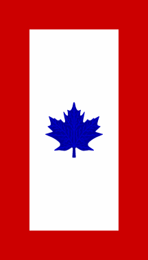 Canadian service pennant